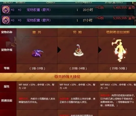 DNF宠物排行榜及大全解析