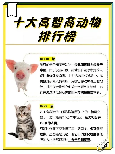 世界十大高智商玩具　世界十大高智商玩具排名