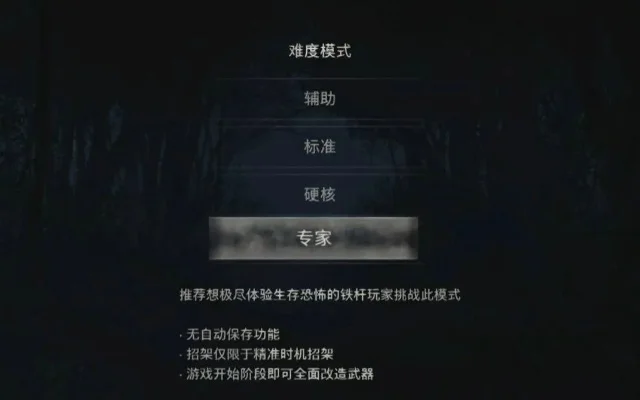 生化危机4系列游戏中文设置攻略