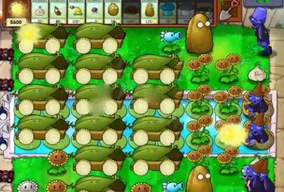 植物大战僵尸1攻略：阵型解析与植物用途详解