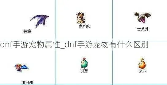 dnf手游宠物戴眼镜-DNF眼镜宠物的独特魅力